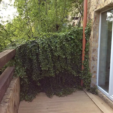 Lev I Sova Guest house