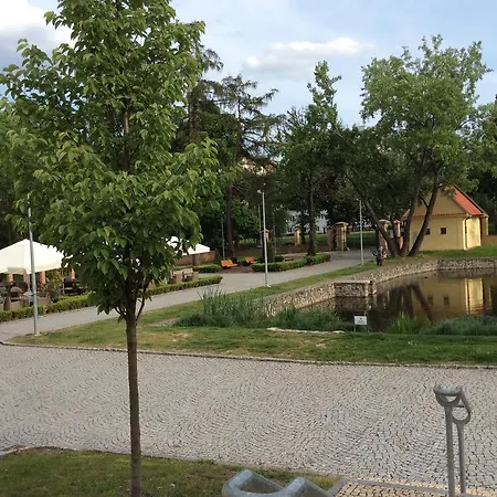 Lev I Sova Praag